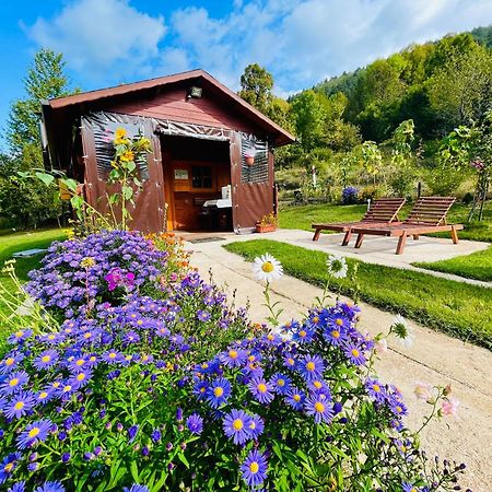Cottage La Sierra With Jacuzzi Кореница Экстерьер фото