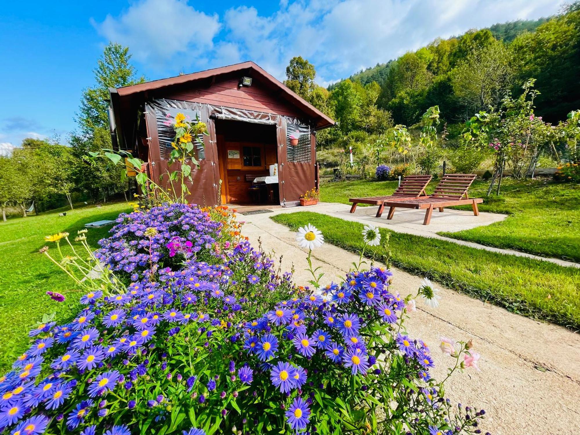 Cottage La Sierra With Jacuzzi Кореница Экстерьер фото
